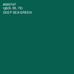 #065F4F - Deep Sea Green Color Image